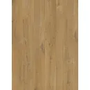 Quick Step panel winylowy ze zintegrowanym podkładem Alpha Bloom dąb bawełniany głęboka natura AVMPU40203