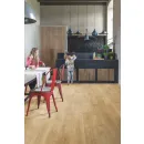 Quick Step panel winylowy ze zintegrowanym podkładem Alpha Blos dąb Canyon naturalny AVSPU40039